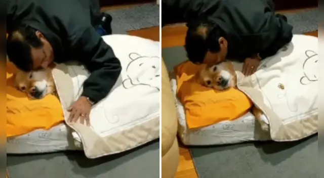 La escena conmovió a miles de internautas en las redes sociales.