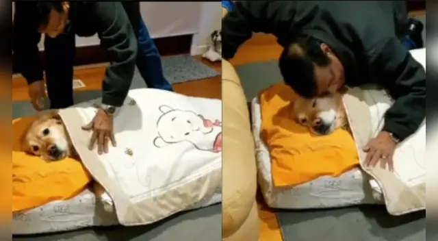 El clip cuenta con miles de reproducciones en TikTok.