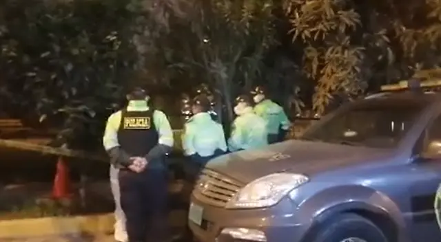 Vecina encuentra cráneos en parque de Los Olivos. PNP y peritos están investigando los hechos. Vecina encuentra cráneos en parque de Los Olivos. PNP y peritos están investigando los hechos.