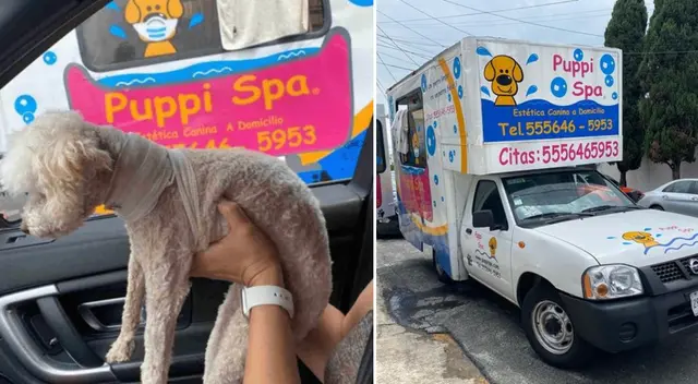 El perrito fue gravemente lesionado en el cuello.