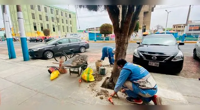 Más de una decena de ambulantes fueron sorprendidos por los peritos de la Municipalidad del Callao