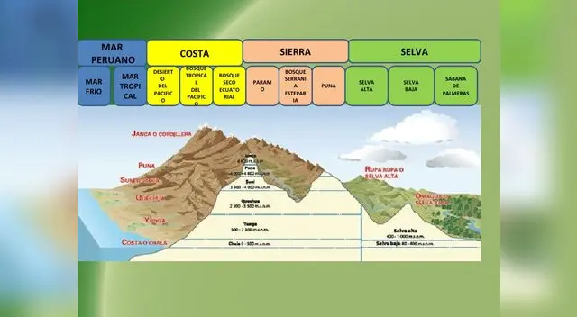 La región Chala o Costa alberga a las ecorregiones de Desierto Costero Tropical y Desierto Costero Subtropical (por debajo de los 500 m s.n.m.).