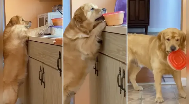 El clip logró miles de reproducciones en YouTube.