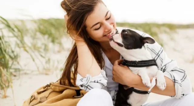 Mascota tiene peculiar comportamiento con su dueña tras no recibir su comida. Video causó risas entre los internautas. Mascota tiene peculiar comportamiento con su dueña tras no recibir su comida. Video causó risas entre los internautas.