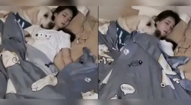 El bello episodio fue captado por las cámaras de seguridad. El bello episodio fue captado por las cámaras de seguridad.