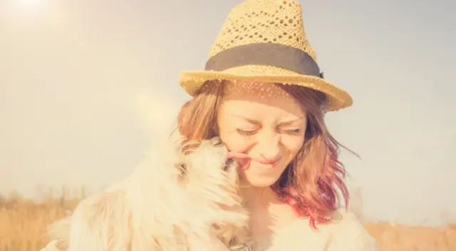 El peculiar comportamiento del perro con su dueña para que le de sus galletas desató las risas de miles de internautas en redes sociales. El peculiar comportamiento del perro con su dueña para que le de sus galletas desató las risas de miles de internautas en redes sociales.