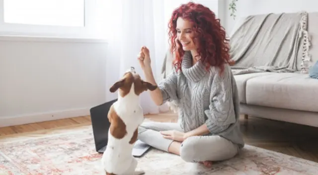 El comportamiento del cachorro causó risas entre los usuarios de TikTok que no dejaron de percatarse en la actitud de la dueña. El comportamiento del cachorro causó risas entre los usuarios de TikTok que no dejaron de percatarse en la actitud de la dueña.