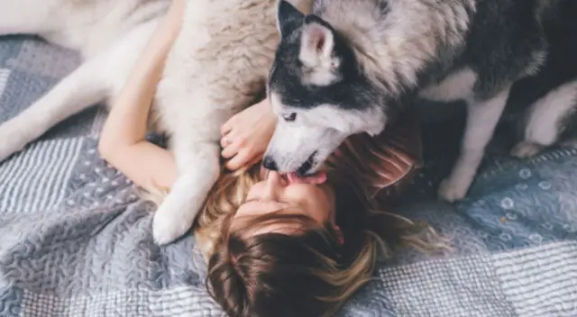 El comportamiento del cachorro causó risas entre los usuarios de TikTok que no dejaron de percatarse en la actitud de la dueña. El comportamiento del cachorro causó risas entre los usuarios de TikTok que no dejaron de percatarse en la actitud de la dueña.