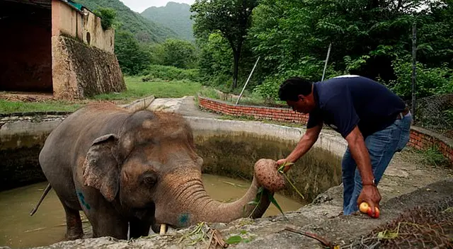 Amir Khalil, jefe de desarrollo de proyectos de FOUR PAWS International, con Kaavan en el zoológico de Marghazar en Islamabad, Pakistán.