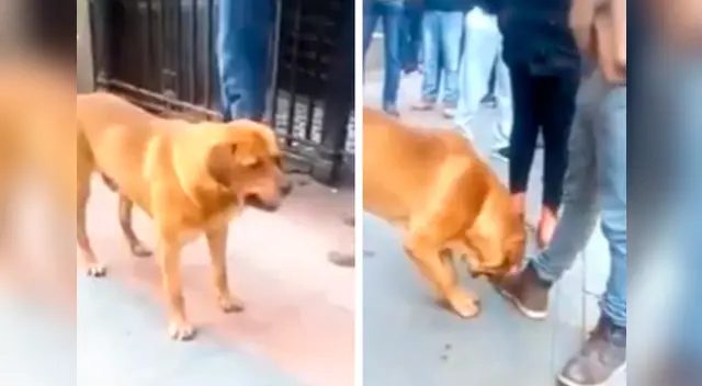 La escena conmovió a miles de internautas en las redes sociales.