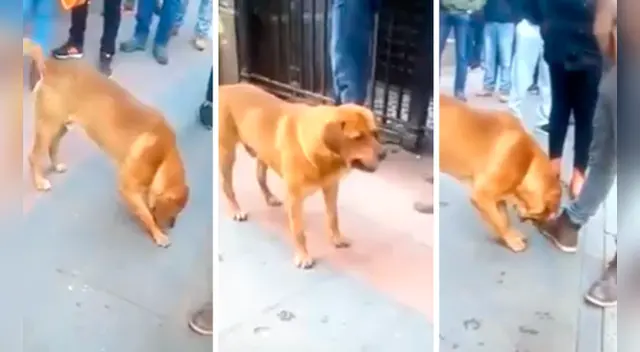 El clip cuenta con miles de reproducciones en Facebook.