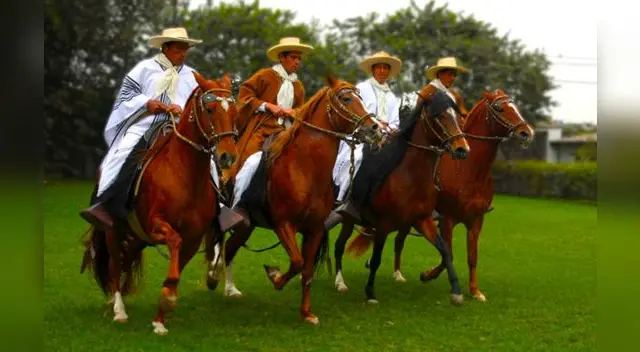 El caballo peruano de paso es una raza equina oriunda del Perú, descendiente de los caballos introducidos durante la Conquista.