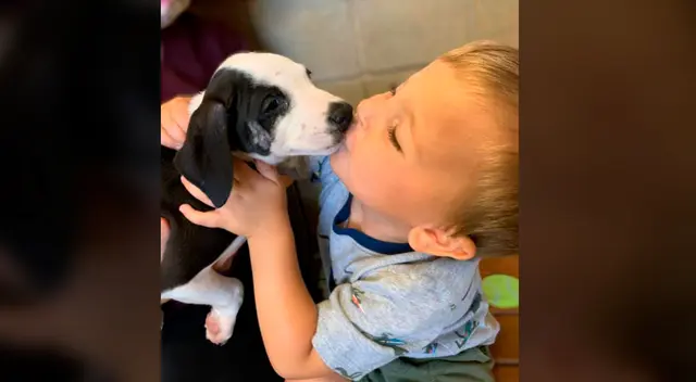 El pequeño Bentley con su cachorro de dos meses.