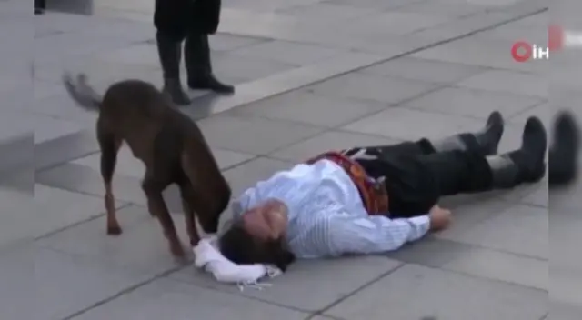 La perrita trató de ayudar al actor, pensando que se trataba de un hombre herido.