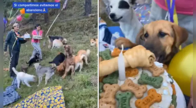 El clip cuenta con miles de reproducciones en TikTok. El clip cuenta con miles de reproducciones en TikTok.