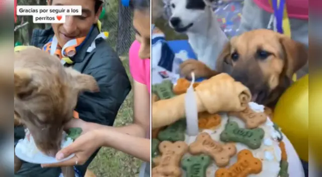 La escena conmovió a miles de internautas en las redes sociales. La escena conmovió a miles de internautas en las redes sociales.