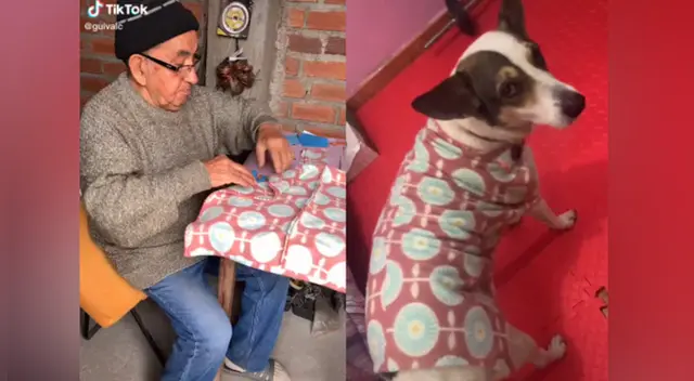 El clip cuenta con miles de reproducciones en TikTok. El clip cuenta con miles de reproducciones en TikTok.