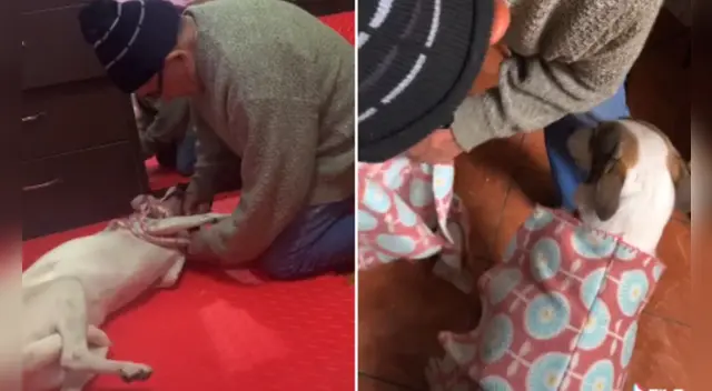 La tierna escena cautivó a los usuarios en las redes sociales. La tierna escena cautivó a los usuarios en las redes sociales.