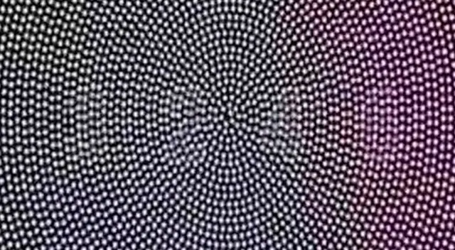 ¿Cuál es el número escondido de la imagen?