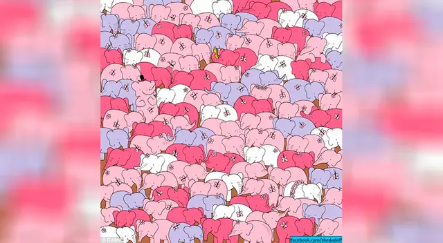 ¿Eres capaz de encontrar el corazón rosado entre los elefantes?