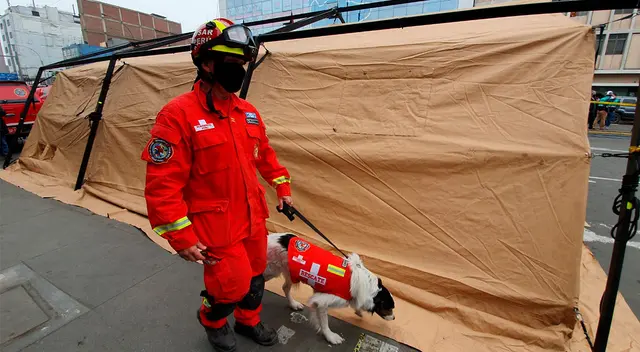 Can ayuda a bomberos en búsqueda de albañil.