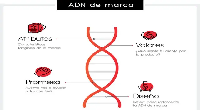 Ten en cuenta los consejos para posicionar tu marca.