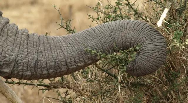 Imagen generó más de un dolor de cabeza en los usuarios.