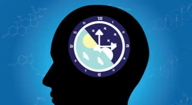 El reloj biológico hace que, cuando se acerca el mediodía, comencemos a sentir hambre ya que nos anticipa que llegará el momento de almorzar. El reloj biológico hace que, cuando se acerca el mediodía, comencemos a sentir hambre ya que nos anticipa que llegará el momento de almorzar.