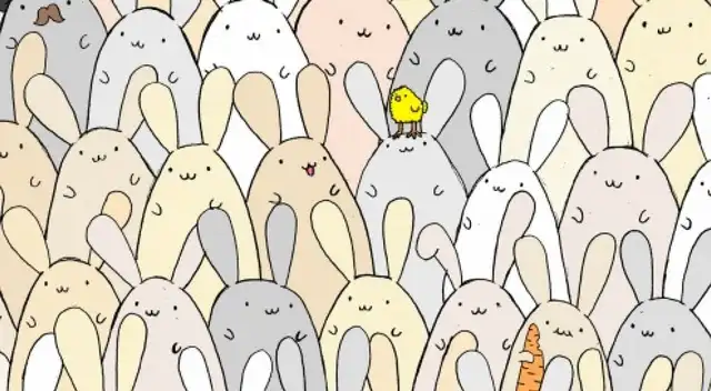 Reto viral: encuentra el huevo oculto entre los conejos. Reto viral: encuentra el huevo oculto entre los conejos.
