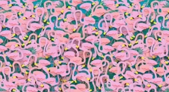 Reto visual es uno de los más buscados por los usuarios en redes sociales. Reto visual es uno de los más buscados por los usuarios en redes sociales.