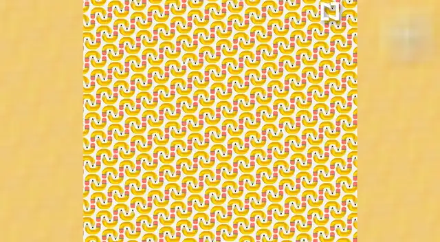 Encuentra los lápices con doble punta dentro de la imagen