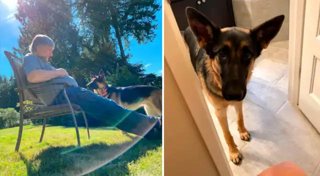La perrita que se sentó al frente a su puerta para esperar la llegada de su amo.