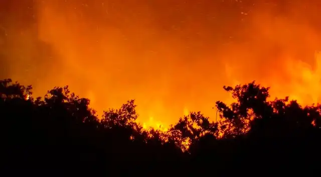 Incendios forestales arrasan con miles de hectáreas en California Incendios forestales arrasan con miles de hectáreas en California