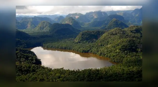 La yunga fluvial que es una zona lluviosa en la parte oriental de los Andes peruanos. La yunga fluvial que es una zona lluviosa en la parte oriental de los Andes peruanos.