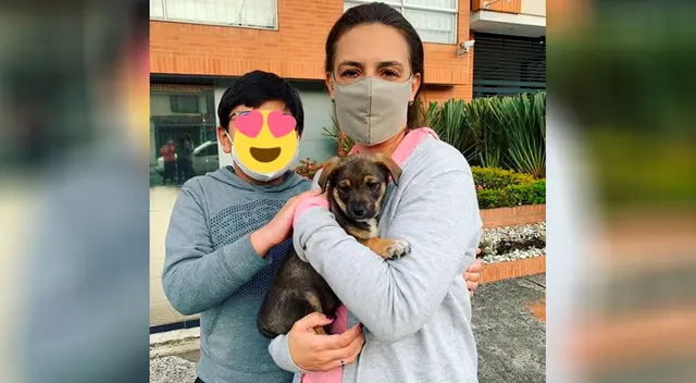La conmovedora historia del perrito al que dejaron abandonado el día de su adopción