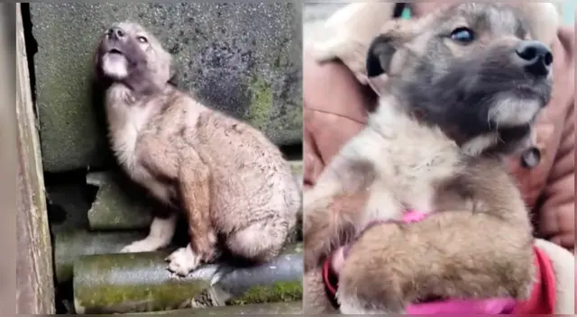 El clip cuenta con miles de reproducciones en YouTube.