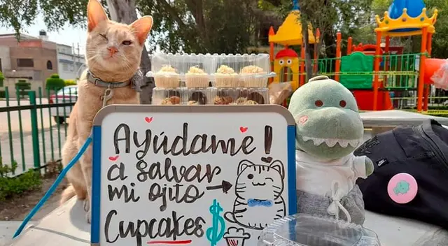 Joven vende cupcakes para juntar dinero y pagar la operación de su gato