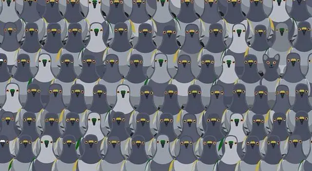 Reto viral: encuentra al gato escondido. Reto viral: encuentra al gato escondido.