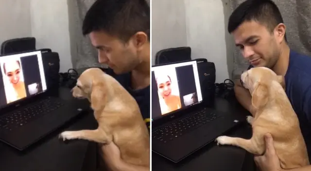 El perrito se emocionó al ver a su dueña a través de la videollamada. El perrito se emocionó al ver a su dueña a través de la videollamada.