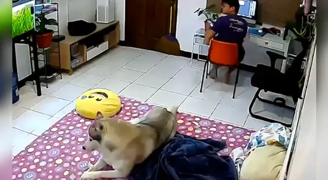 La escena causó el asombro de varios usuarios en las redes sociales.