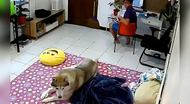 La insólita escena ocurrió en Filipinas.