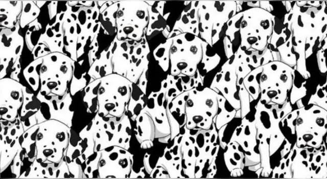 Pon a prueba tu capacidad visual en este nuevo reto de Facebook. Pon a prueba tu capacidad visual en este nuevo reto de Facebook.