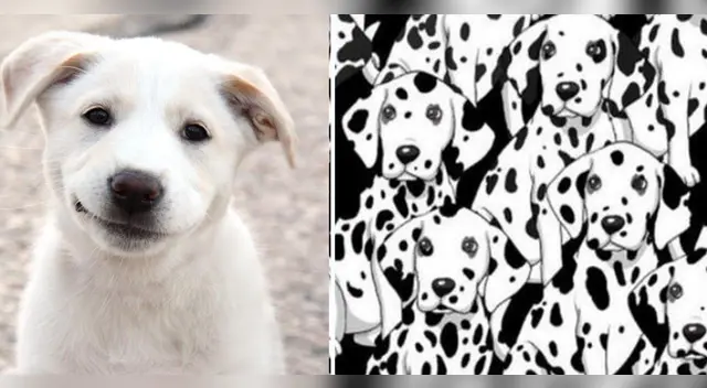 El challengue de Facebook ha causado sensación en las redes sociales. El challengue de Facebook ha causado sensación en las redes sociales.