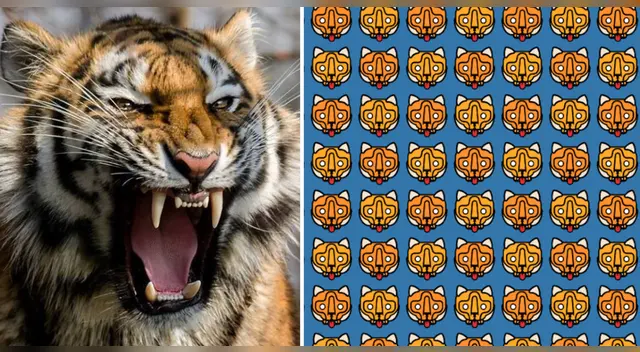 Solo tienes segundos para dar con la respuesta correcta ¿Te animas? Solo tienes segundos para dar con la respuesta correcta ¿Te animas?