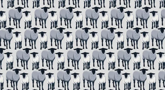 Reto viral: encuentra a los lobos escondidos entre las ovejas. Reto viral: encuentra a los lobos escondidos entre las ovejas.