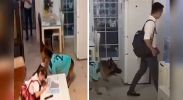 La peculiar escena llamó la atención de miles de usuarios en las redes sociales. La peculiar escena llamó la atención de miles de usuarios en las redes sociales.