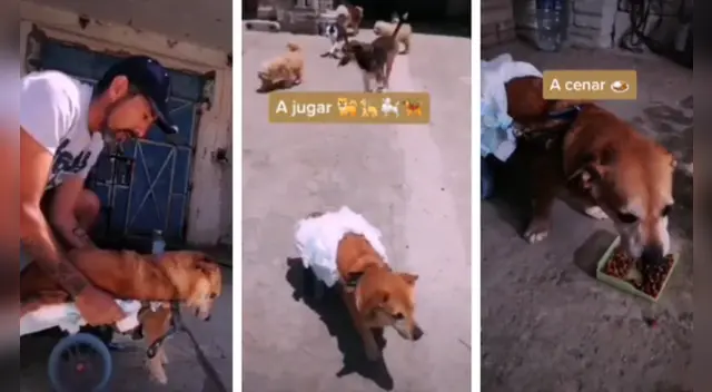 La conmovedora escena tocó los corazones de miles de usuarios en las redes sociales. La conmovedora escena tocó los corazones de miles de usuarios en las redes sociales.