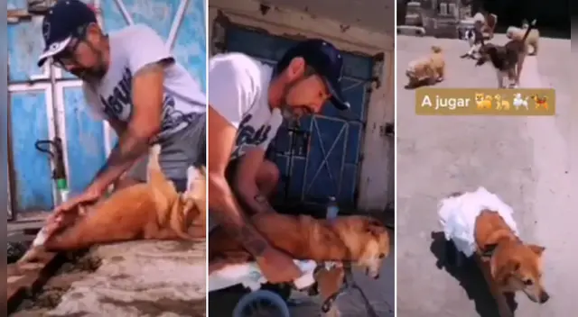 El clip cuenta con miles de reproducciones en Facebook. El clip cuenta con miles de reproducciones en Facebook.