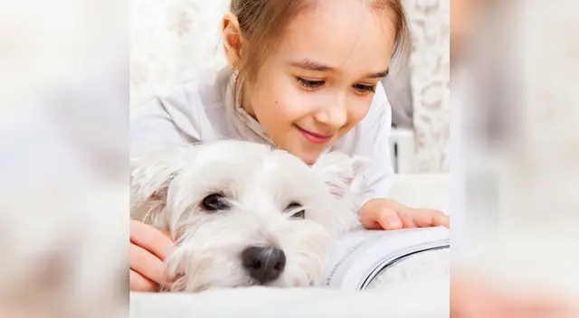 El video viral de YouTube causó el asombro de cibernautas. El video viral de YouTube causó el asombro de cibernautas.