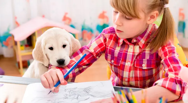 El video viral de YouTube causó el asombro de cibernautas. El video viral de YouTube causó el asombro de cibernautas.